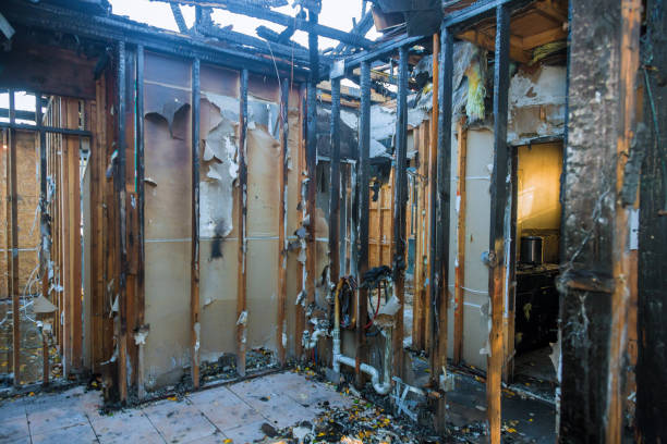 Professional Fire Damage Removal technician working in Roebling, NJ